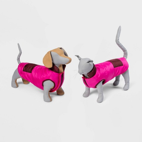 Dog, Friends, Dachshund with Neon Yellow Wheelchair Harness with