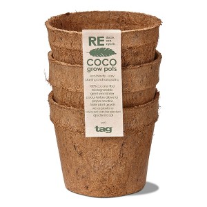 tagltd Eco Coco Seed Start Pot Small Set of 3 - 1 of 1