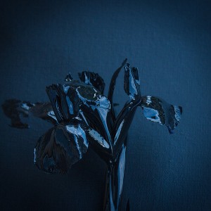 A Swarm of the Sun - Rifts - 1 of 1