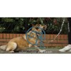 Embark Harness Co. Adventure Dog Leash - Aztec - 5 Feet Long - 4 of 4
