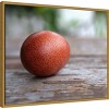 Amanti Art Egg on Wood by Tania Soderman Framed Canvas Wall Art - 2 of 4