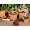 Envelor Coco Coir Planter Pots Seed Starter Tray - 3 of 4