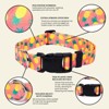 Country Brook Petz Deluxe Dog Collar - Made in The U.S.A. - Tasty Collection - 3 of 4