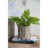 Gulches Set of 2 6.5*6.5*6.5" Fillmore Planter,Small Round - 2 of 4