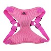 Doggie Design Wrap and Snap Choke Free Dog Harness - Candy Pink - 2 of 4