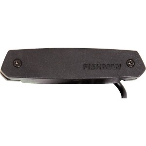 Fishman Pro-Neo-D01 Magnetic Soundhole Pickup - 1 of 1