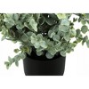 Monarch Specialties Artificial Plant 11 inch Tall Eucalyptus Grass Indoor Faux Fake Table Greenery Potted Set Of 2 Decorative Green Leaves Black Pots - 4 of 4