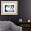 Trademark Fine Art - Mandy Disher Anemone 1 Matted Framed Art - 2 of 4