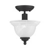 Livex Lighting North Port 1 - Light Flush Mount in  Black - 3 of 4