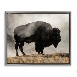 Stupell Industries Powerful Bison Grazing Foggy Rural Pasture Photography Floating Frame Canvas Art, Gray, 21" x 17" - 1 of 4