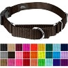 Country Brook Petz Heavy Duty Nylon Martingale Dog Collar with Deluxe Buckle - 30+ Vibrant Color Options - 2 of 4