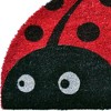 HomeRoots 18" X 30" Black and Red Coir Ladybug Outdoor Semi Circle Door Mat - 4 of 4