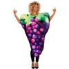 Orion Costumes Purple Grapes Adult Costume | One Size Fits Most - 3 of 3