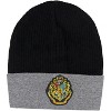 Harry Potter Wizarding World Hogwarts Crest Logo Knit Scarf & Cuff Beanie Set - 3 of 4