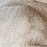 Deer Brown