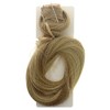 Straight Wrap Around Pony - R14 88H Golden Wheat by Hairdo for Women - 25 Inch Hair Extension - 2 of 3