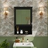 MOEPISY 20inch Wall Mounted Bathroom Storage Cabinet with Mirror Black - 3 of 4