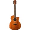 Washburn WCG55CE Comfort Acoustic-Electric Guitar - 2 of 3