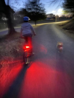 Bike store lights target