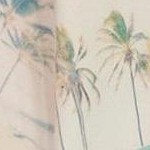 beige palm tree and teal