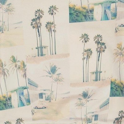 beige palm tree and teal