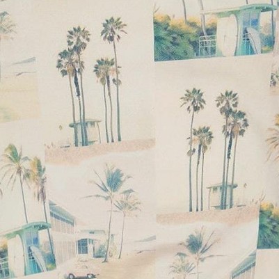 beige palm tree and teal