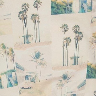 beige palm tree and teal