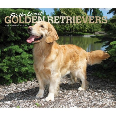 2022 Deluxe Calendar Golden Retrievers - BrownTrout Publishers Inc