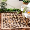 Veranda VER098 Power Loomed Indoor/Outdoor Area Rug  - Safavieh - image 2 of 4