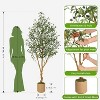 7Ft Olive Trees Artificial Indoor – Extra Tall Faux Olive Tree with Planter, Large Fake Plants for Living Room Decor - 2 of 4