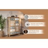 ORRD Vintage Tall Accent Cabinet with 6 Drawers & 2 Doors, Rustic Carved Wood Storage Chest for Farmhouse Living Room, Bedroom, Bathroom - 4 of 4