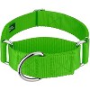 Country Brook Petz HossFit Jr Wide Martingale Dog Collar - Training Collar with No Buckle - Vibrant, Colorful Collection - 2 of 4