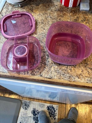 Ello Plastic Salad Bento Set Mauve : Target