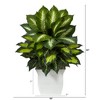 Nearly Natural 2-ft Golden Dieffenbachia Artificial Plant in White Metal Planter - 2 of 4