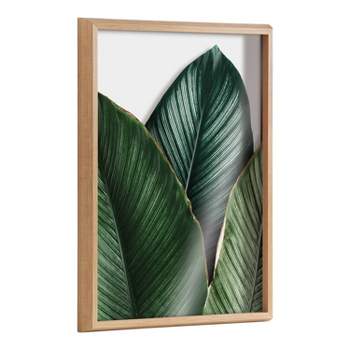 18" x 24" Blake Tropical Palm Leaves Framed Printed Glass Natural - Kate & Laurel All Things Decor
