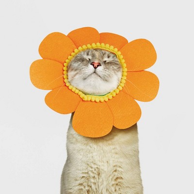 Halloween Orange Sunflower Cat Costume - Hyde And Eek! Boutique™ : Target