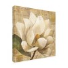 Trademark Fine Art -Albena Hristova 'Magnolia Blossom On Script' Canvas Art - 4 of 4