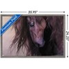 Trends International Laurie Prindle - Equus Framed Wall Poster Prints - 3 of 4