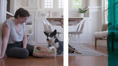 Large Beige Plush Squeaky Dog Puzzle Toy