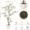 Artificial Magnolia Plants, Faux Flower Trees for Indoor Outdoor , Fake Magnolia Tree with Realistic Flowers, Leaves, Mosses & White Pot - 3 of 4