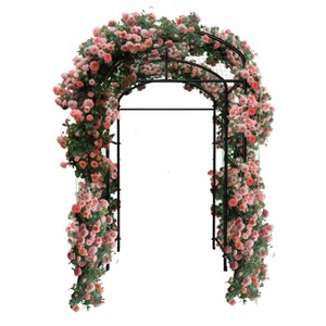 Extra Large A-Frame Cucumber Trellis Metal Archway Arbor Vegetables Plants Arch Grape Support Shelf Garden Tunnel with Climbing Net - 1 of 4