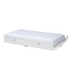 Twin Mariana White Finished Wood Trundle White - Baxton Studio - 3 of 4