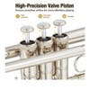 Coucheta Bb Trumpets - Professional 3-Valve Nickel-Plated Brass Instruments with Full Copper Body for Band, Jazz & Orchestra Performance - 4 of 4