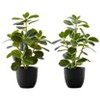 NicBex Artificial Plant 2PC, Fake Plants in Black Pots, Tabletop Faux Plants Indoor for Living Room/Office/Windowsill Decor - 2 of 4