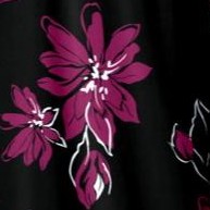 black berry bloom