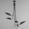 ET2 Lighting Marsh 5 - Light Pendant in  Black - 4 of 4