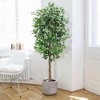 Whizmax Artificial Ficus, Fake Ficus Silk Tree with Natural Wood Trunk in Plastic Nursery Pot for Indoor Outdoor House Living Room Office - 2 of 4