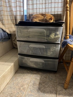 Homz Plastic 4 Drawer Medium Home Storage Container, Clear Drawers & Black  Frame, 1 Piece - Fry's Food Stores