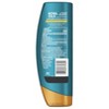 Head & Shoulders Royal Oils Moisture Renewal Conditioner with Coconut Oil - 13.5 fl oz - image 2 of 4
