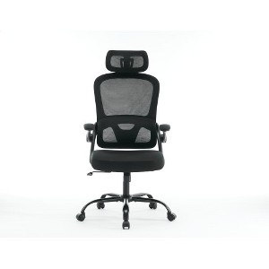 Anybear Ergonomic Mesh Office Chair, Swivel Computer Task Chair with Adjustable 2D Headrest - 1 of 4